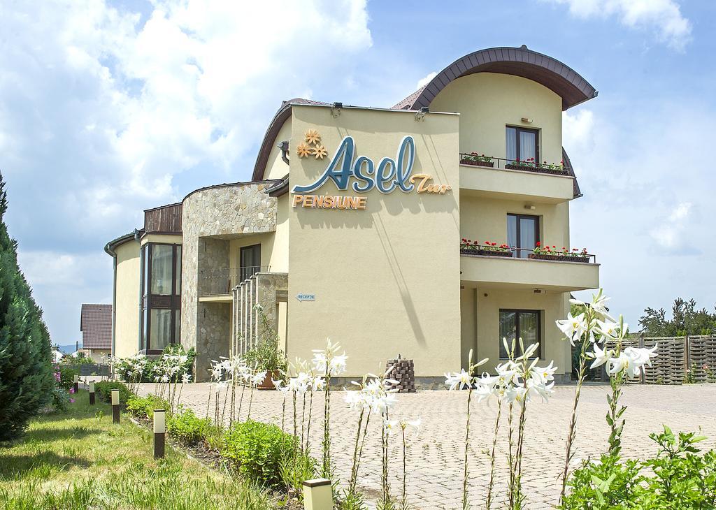 Aseltur Brasov Hotel Kültér fotó